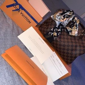 speedy 30 Louis Vuitton hand bag